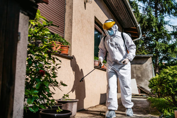 Best Best Pest Control Companies  in Staples, CT