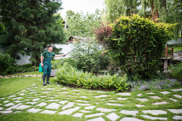 Best Pest Prevention Services  in Staples, CT