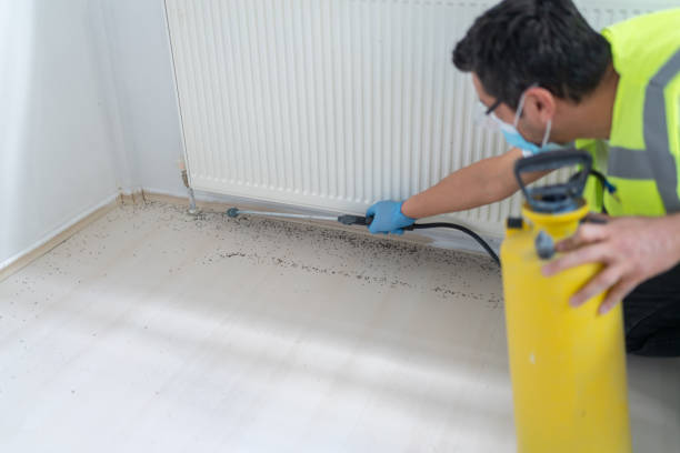 Best Ant Control Services  in Staples, CT